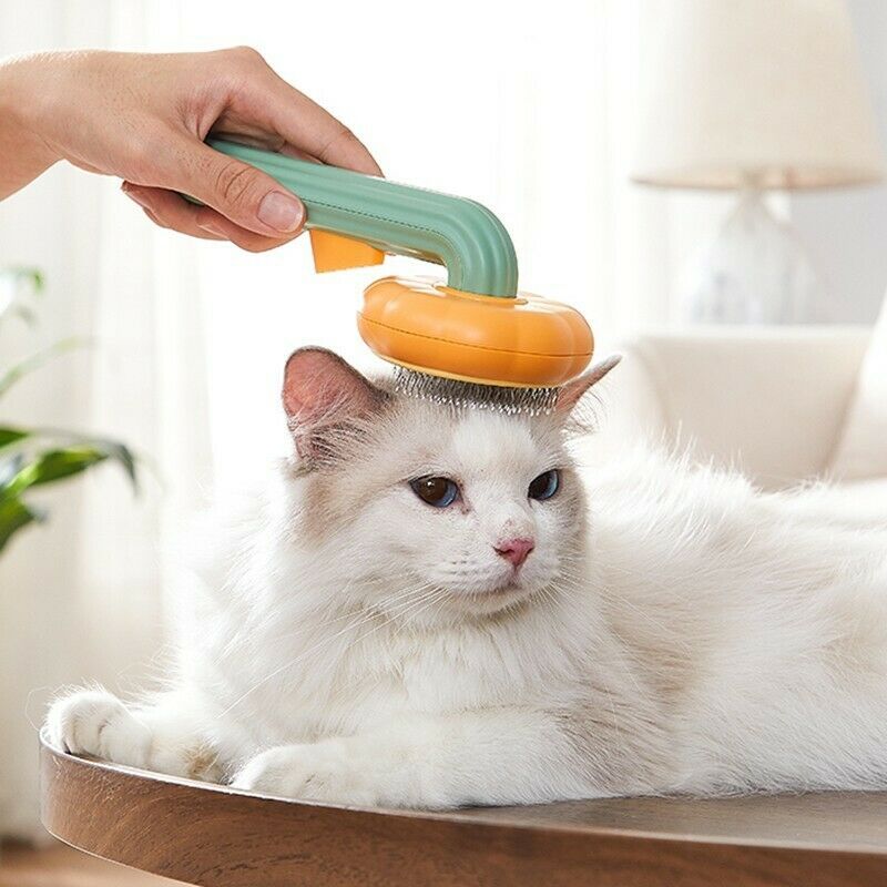 Pet Pumpkin Self-Cleaning Slicker Brush – Gentle Grooming for Dogs, Cats & Rabbits